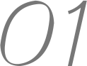 Professional customization of technical support